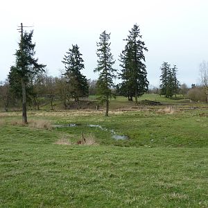 1.5 Acre White-Tailed Deer Paddock