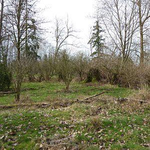 1.5 Acre Moose/Sandhill Crane Enclosure