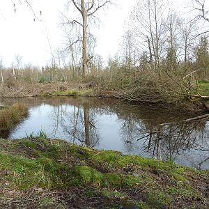 1.5 Acre Moose/Sandhill Crane Enclosure