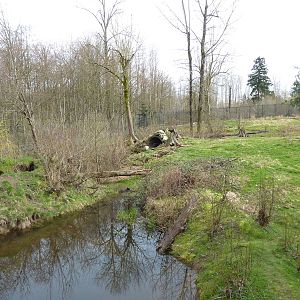 1.5 Acre Grizzly Bear Enclosure
