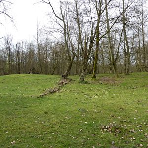 2.5 Acre Caribou Enclosure