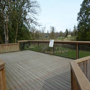 Arctic Wolf Viewing Platform