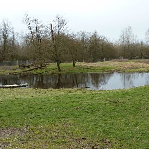 Black Burro Enclosure