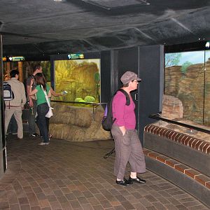 Taronga Zoo 2007 - Inside the Reptile House