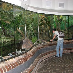 Taronga Zoo 2007 - Inside the Reptile House