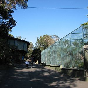 Taronga Zoo 2007 - Pathway leading to Koala Walkabout