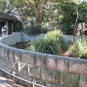 Taronga Zoo 2007 - Side view of the Short-beaked Echidna exhibit