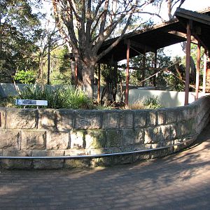 Taronga Zoo 2007 - Short-beaked Echidna exhibit and Koala Encounters