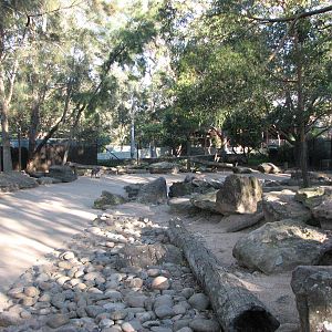 Taronga Zoo 2007 - Inside the walk-through exhibit in Wild Australia