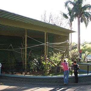 Taronga Zoo 2007 - Historic Spider Monkey exhibit