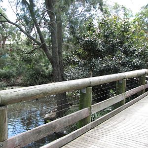 Taronga Zoo 2007 - Boardwalk across a wetlands exhibit