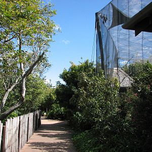 Taronga Zoo 2007 - Pathway in Wild Asia