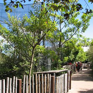 Taronga Zoo 2007 - Pathway in Wild Asia