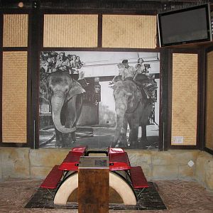Taronga Zoo 2007 - In memory of the Elephant rides of the past