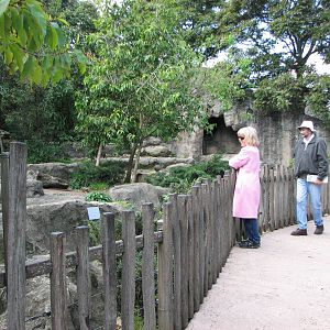 Taronga Zoo 2007 - Front of the Kodiak Bear exhibit