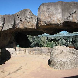 Taronga Zoo 2007 - Front of the Malayan Sun Bear exhibit