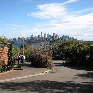 Taronga Zoo 2007 - View towards the city from Koala Walkabout