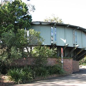 Taronga Zoo 2007 - Outside Koala Walkabout