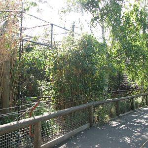 Melbourne Zoo 2008 - One of the Feline enclosures
