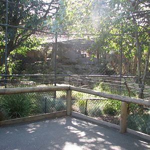 Melbourne Zoo 2008 - Snow Leopard exhibit?