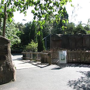 Melbourne Zoo 2008 - Front of the Syrian Brown Bear exhibit