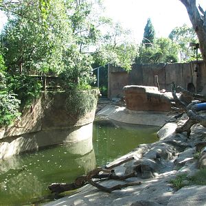 Melbourne Zoo 2008 - Side view into the Syrian Brown Bear exhibit