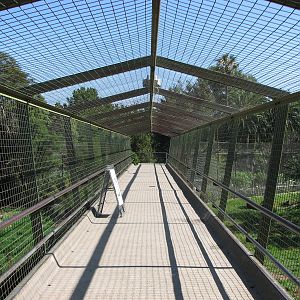 Melbourne Zoo 2008 - Visitor deck at the Wild Dog and Lion exhibits