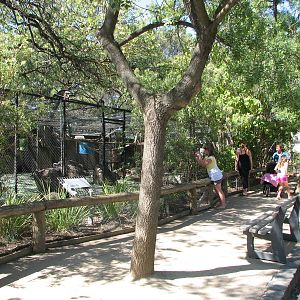 Melbourne Zoo 2008 - Front view of the Baboon enclosure