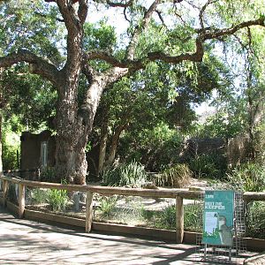 Melbourne Zoo 2008 - Front of the Fairy Penguin exhibit