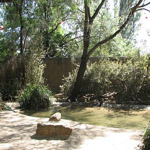 Melbourne Zoo 2008 - Inside the Fairy Penguin exhibit