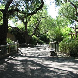 Melbourne Zoo 2008 - Fairy Penguin and Red Panda exhibits