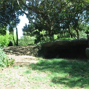 Melbourne Zoo 2008 - Part of the Gorilla exhibit