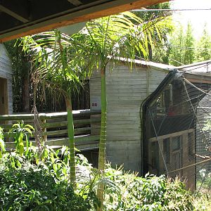 Melbourne Zoo 2008 - Boardwalk and Colobus exhibit
