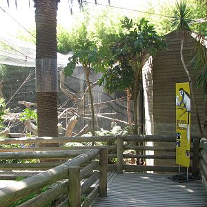 Melbourne Zoo 2008 - Boardwalk and Colobus exhibit