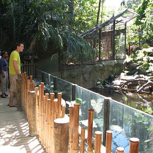 Melbourne Zoo 2008 - Front of the Sumatran Tiger exhibit