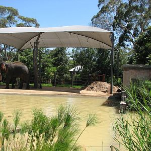 Melbourne Zoo 2008 - Part of an Elephant exhibit