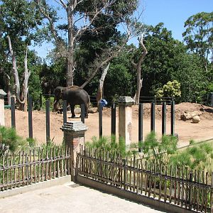 Melbourne Zoo 2008 - Front of an Elephant exhibit