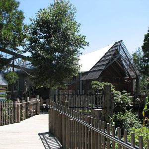 Melbourne Zoo 2008 - Boardwalk leading to the Orangutan Sanctuary