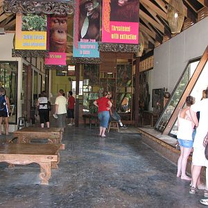Melbourne Zoo 2008 - Inside the Orangutan Sanctuary house