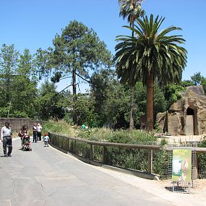 Melbourne Zoo 2008 - Pathway in front of the giraffe exhibit