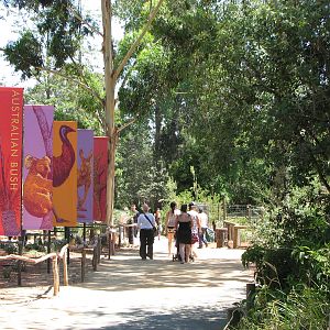 Melbourne Zoo 2008 - Pathway in the Australian Bush area