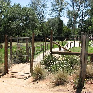 Melbourne Zoo 2008 - Walk-through exhibit in the Australian Bush area