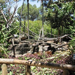 Melbourne Zoo 2008 - Mandrill exhibit