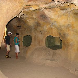 Melbourne Zoo 2008 - Wombat dens in the Australian Bush area