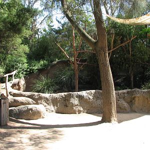 Melbourne Zoo 2008 - Short-beaked Echidna exhibit in the Australian Bush ar