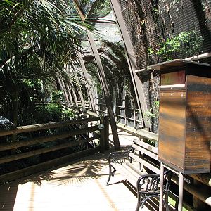 Melbourne Zoo 2008 - Inside the walk-through aviary