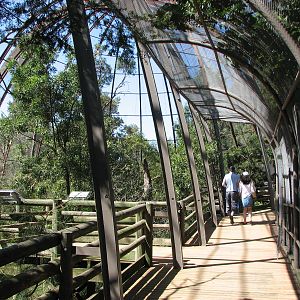 Melbourne Zoo 2008 - Inside the walk-through aviary