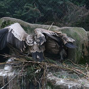 Barged out of the Way