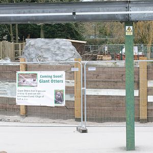 Giant Otter Enclosure Construction #1