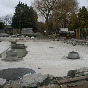 Giant Otter Enclosure Construction #2